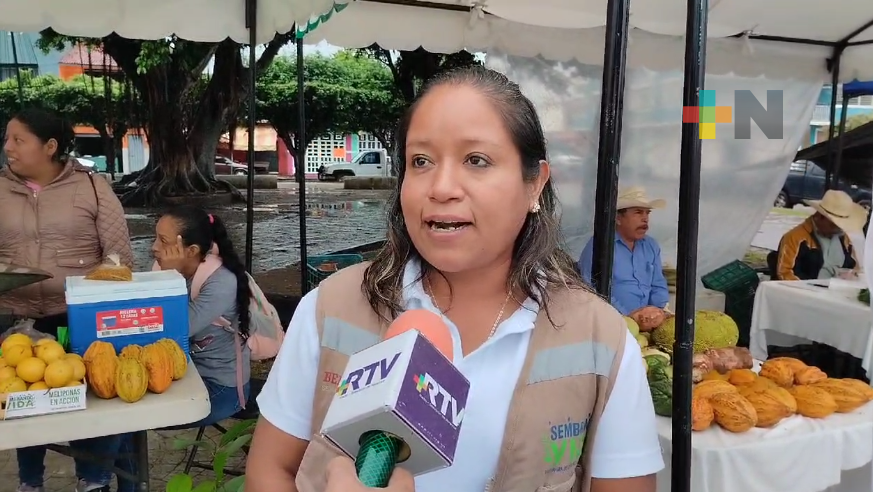 Llega Tianguis Campesino a Martínez de la Torre; acerca a productores con consumidores