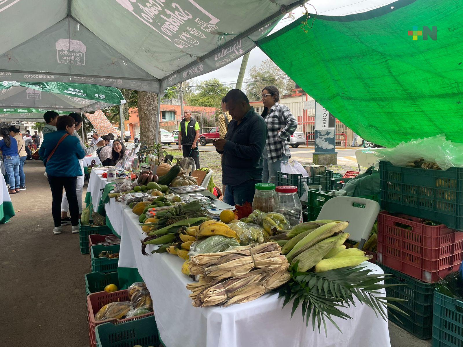 Instalan Mercadito Solidario en parque Los Berros de Xalapa