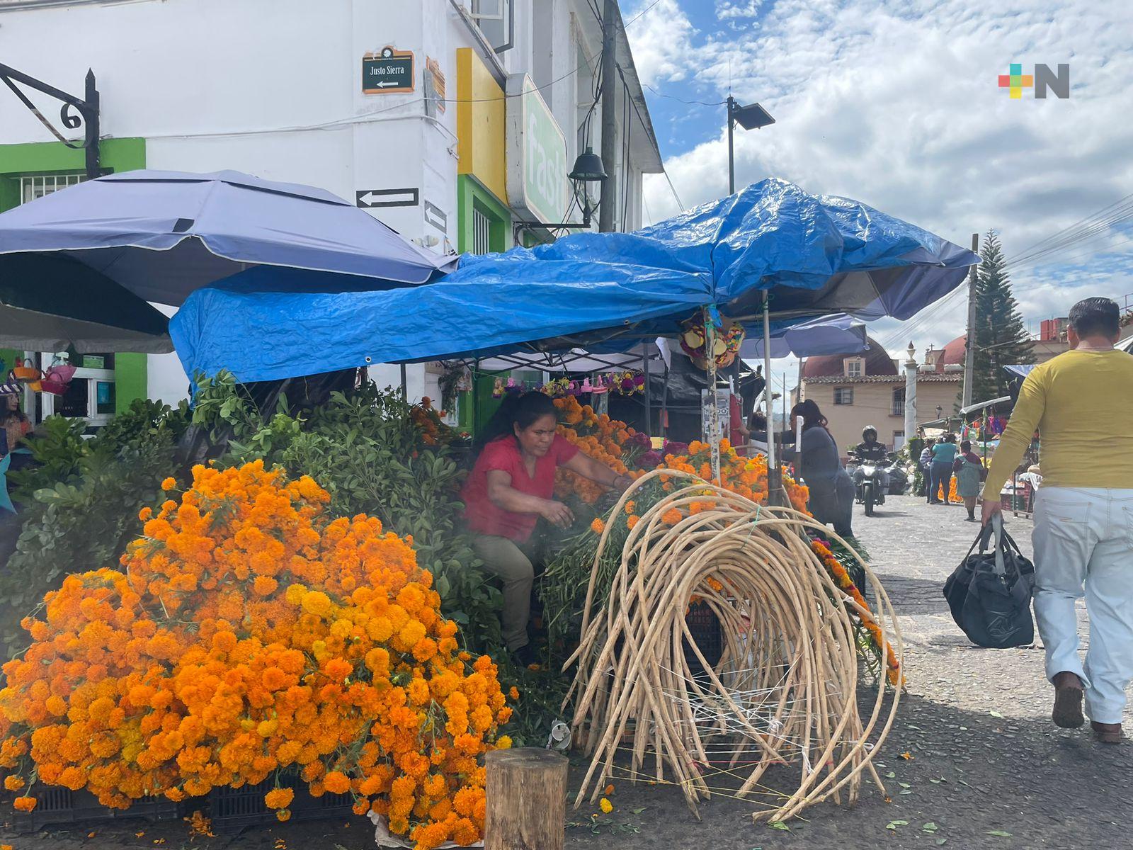Comerciantes de Xalapa esperan aumentar ventas de flor de cempasúchil