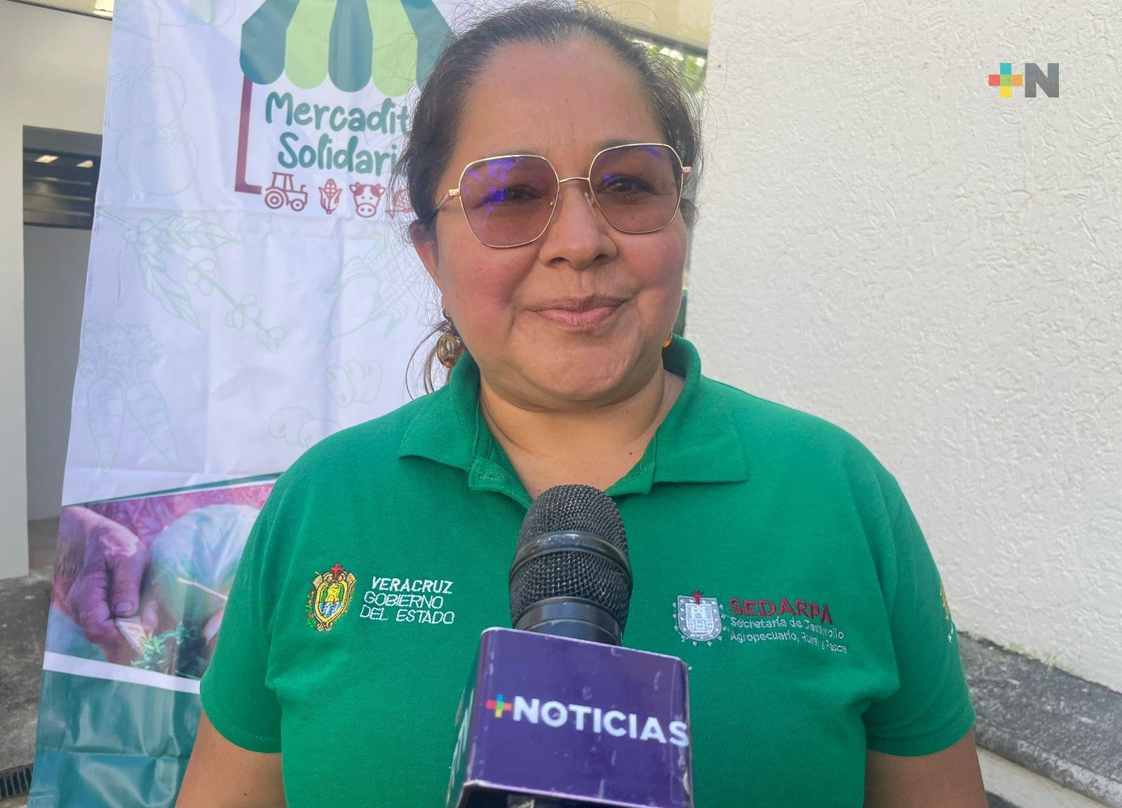 Mercadito Solidario llegará al IPE y parque Los Berros de Xalapa