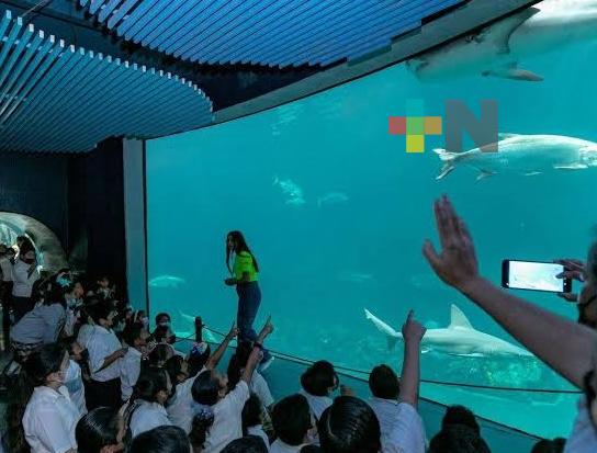 Este 1 de octubre operará en horario normal el Aquarium del puerto