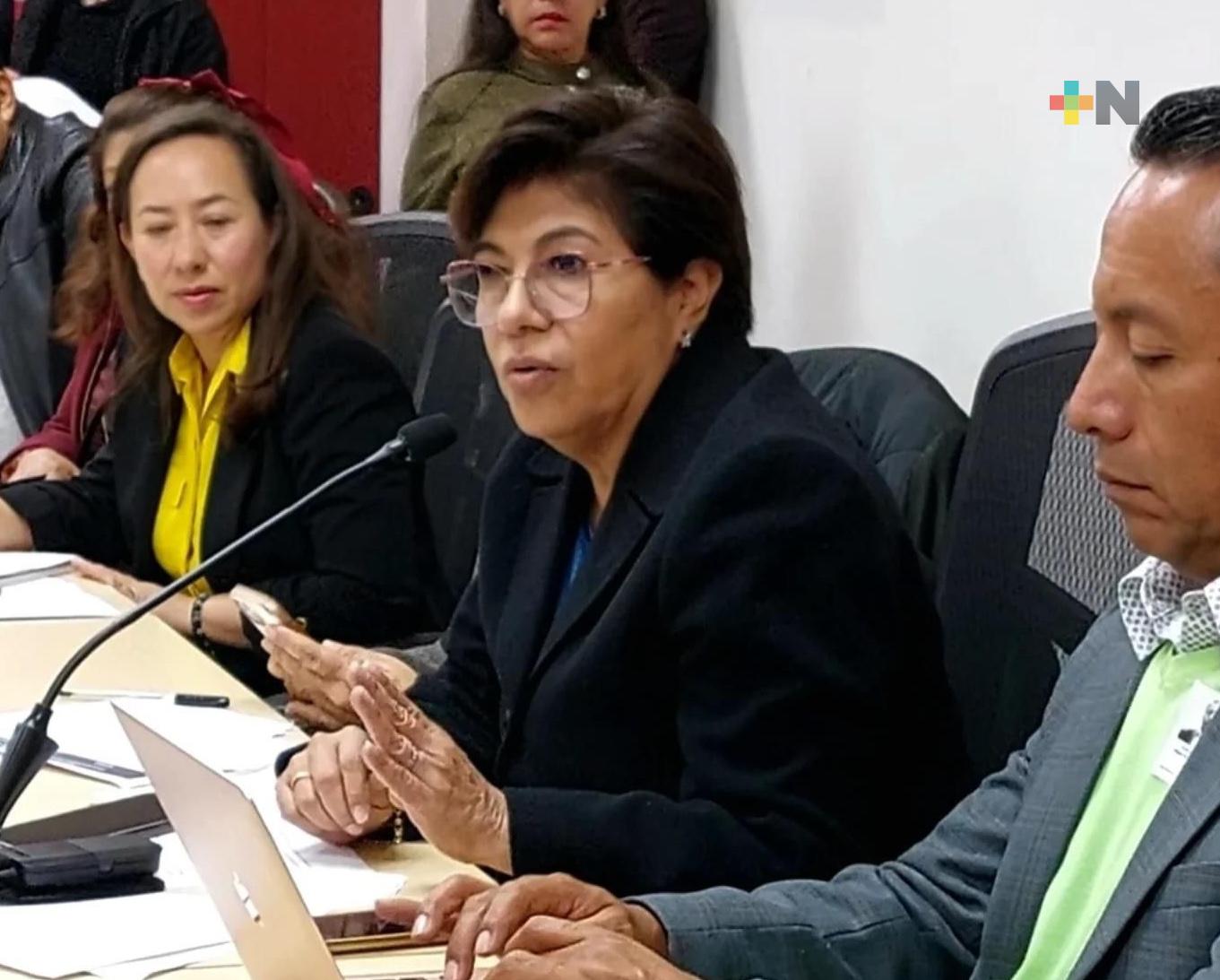 Atenderá intensa agenda legislativa, Rosa María Hernández Espejo