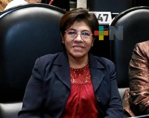 México con soberanía energética y electricidad a precios justos: Rosa María Hernández