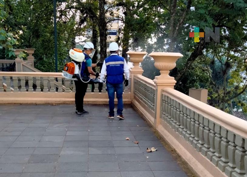 ¿Chinches? Realiza Ayuntamiento fumigación para eliminar plaga en el parque Juárez