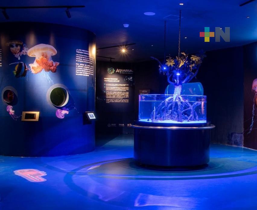 Aquarium del puerto el más moderno e innovador del país: Sergio Rodríguez