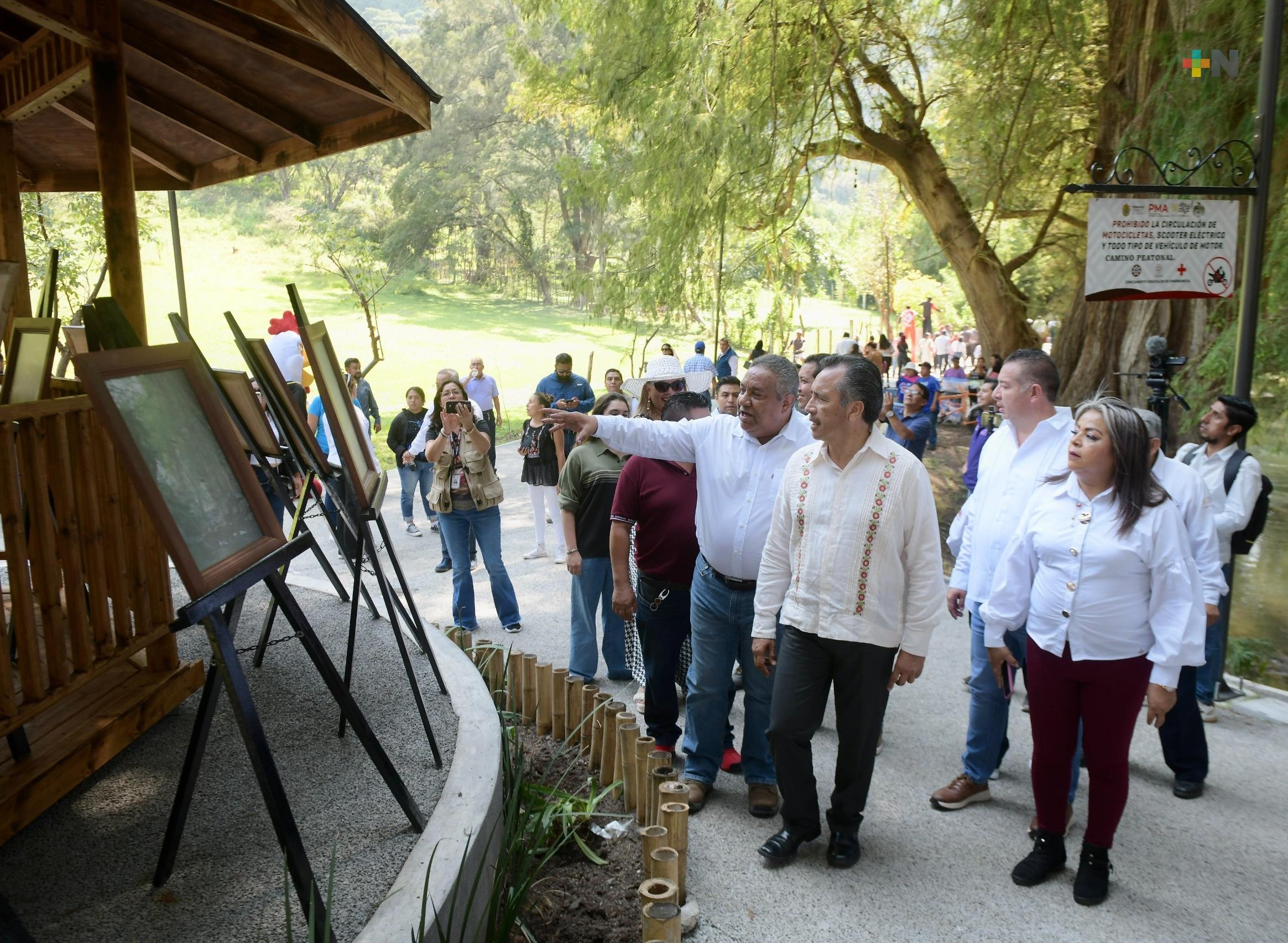 Ciudad de los Ahuehuetes, nuevo espacio de conservación y patrimonio de las Altas Montañas