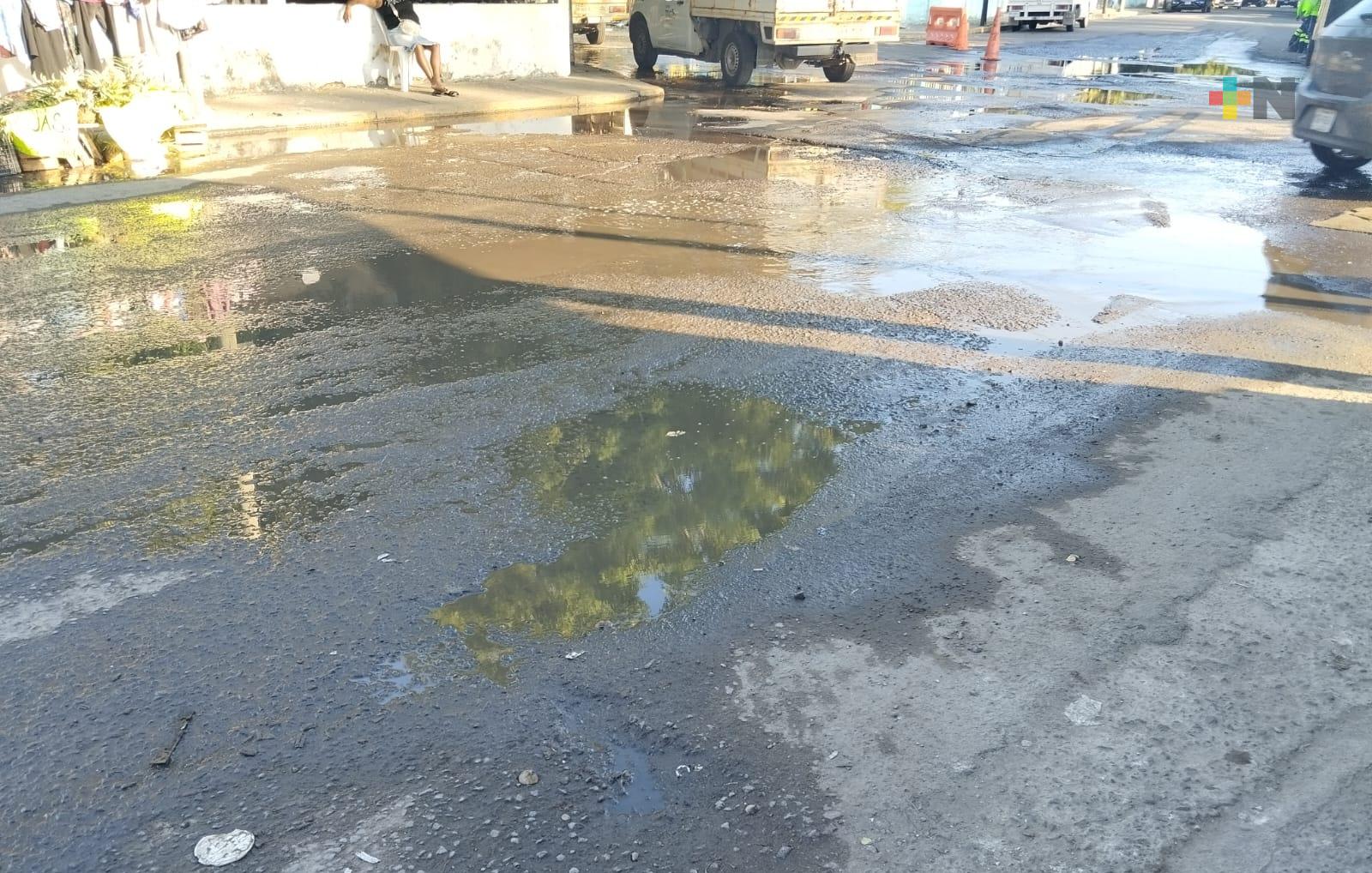 Entre baches y aguas negras viven vecinos de colonia del municipio de Veracruz  
