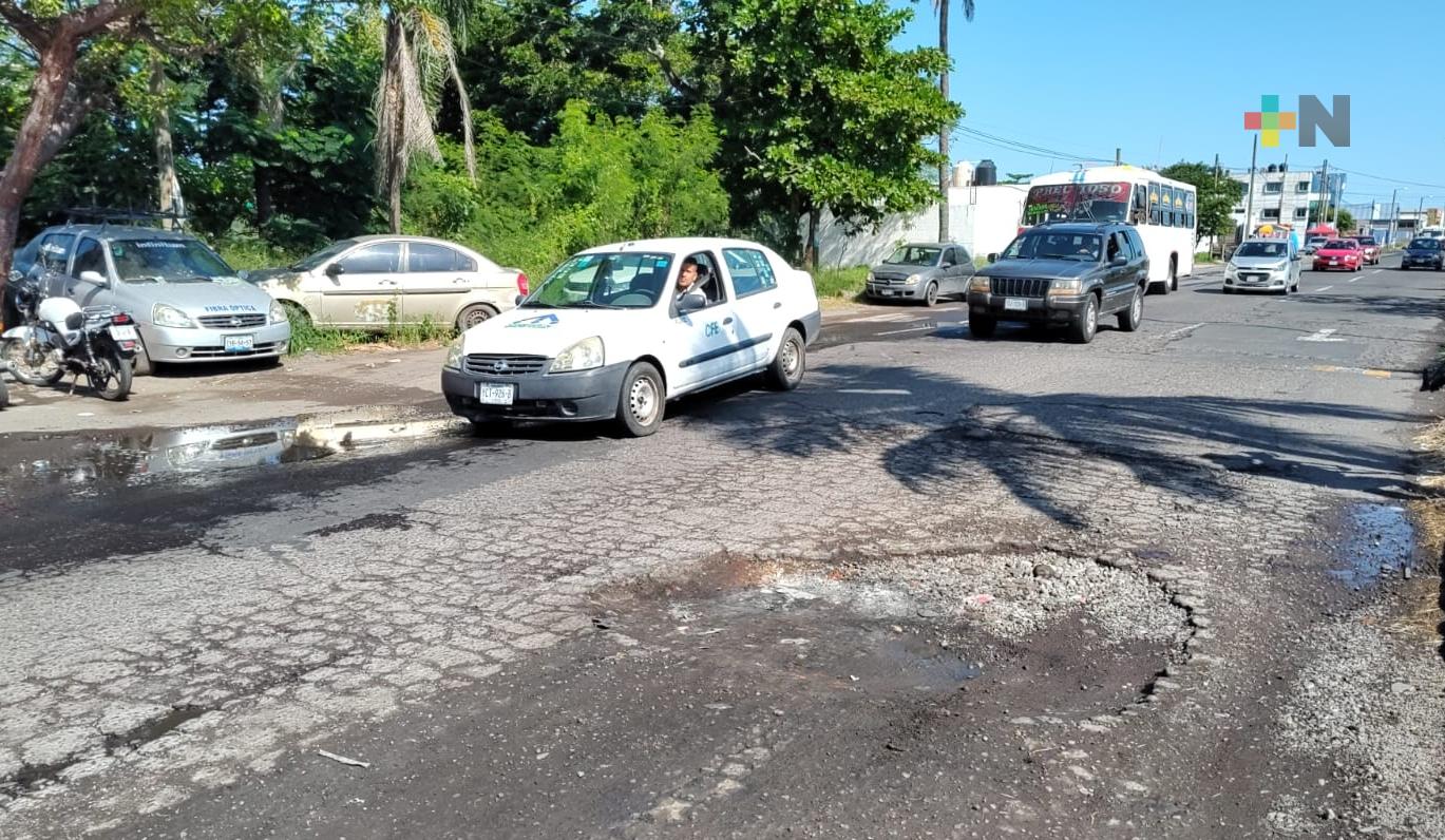 Baches en carretera Veracruz-El Tejar dificulta tránsito vehicular