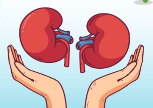 Examen de orina anual para detectar enfermedad renal, recomienda especialista