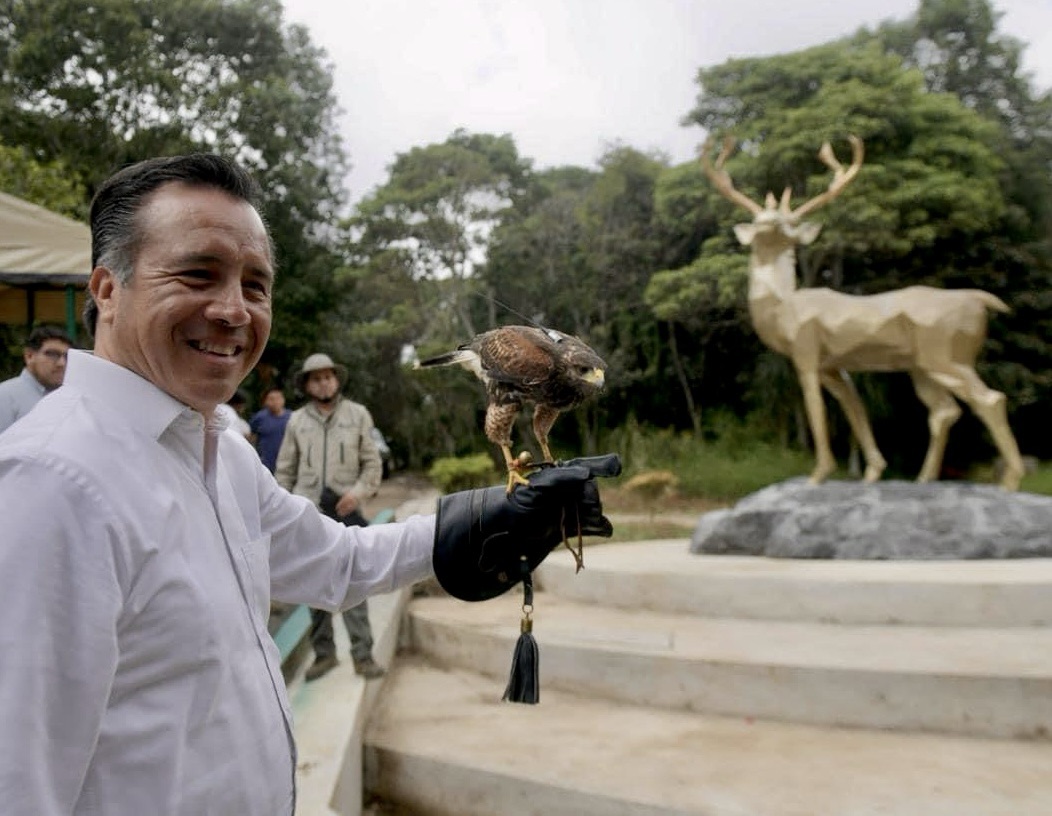 Naturalia podría resguardar hasta 90 especies protegidas: Cuitláhuac García