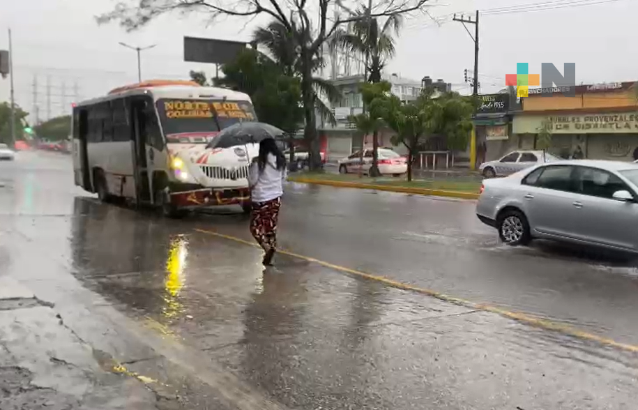 Transportistas de Veracruz puerto reanudan las rutas de manera normal