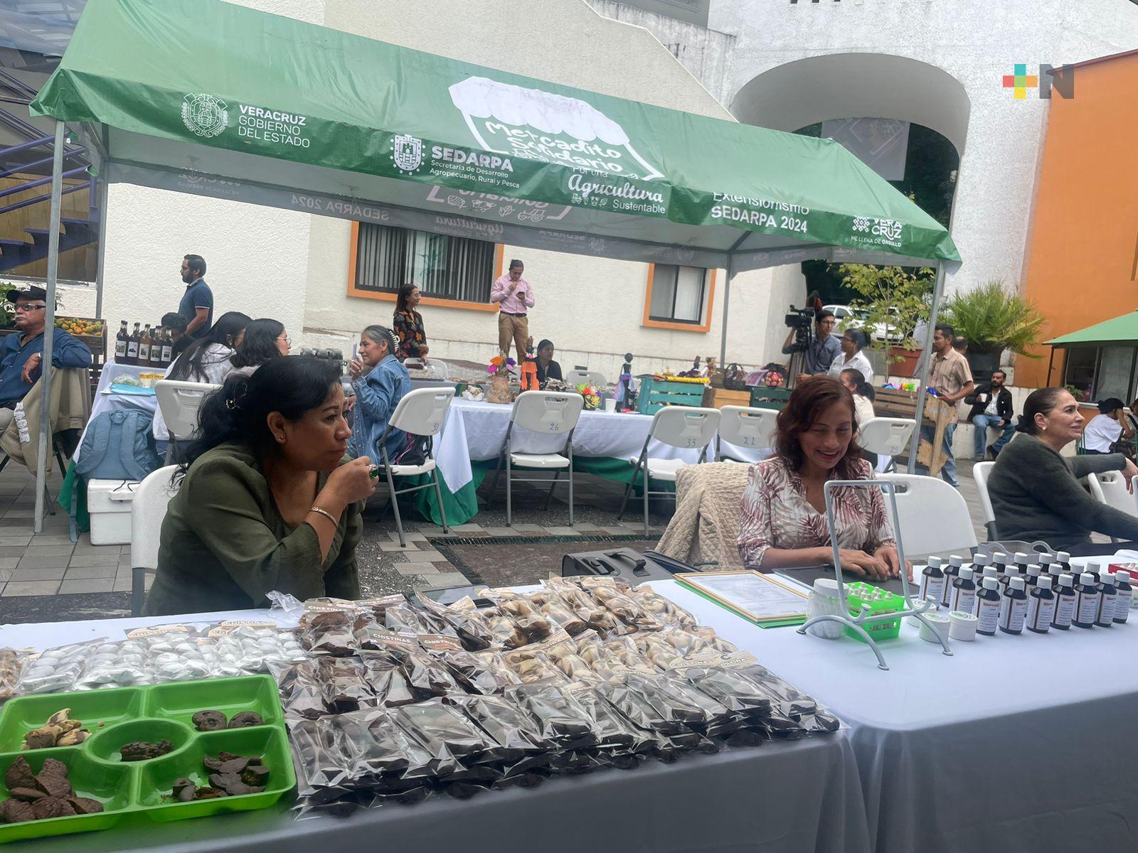 En 10 regiones de Veracruz se ha promovido la venta de productos agroecológicos: Sedarpa