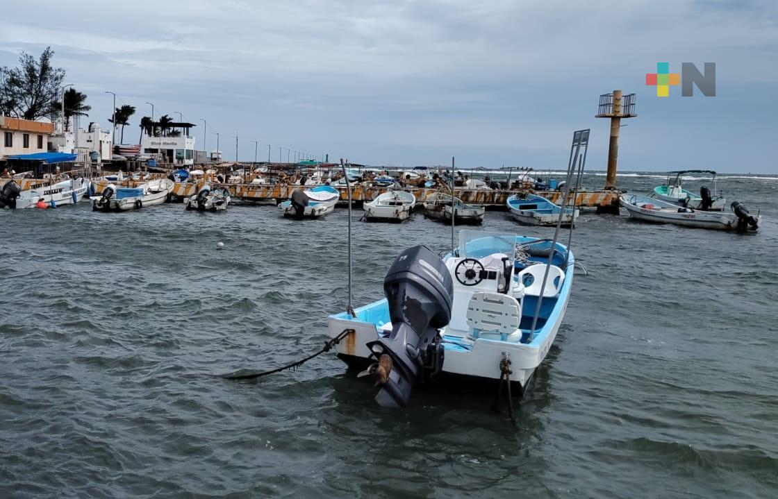 Mal tiempo y caída de precio afectan a pescadores del puerto de Veracruz