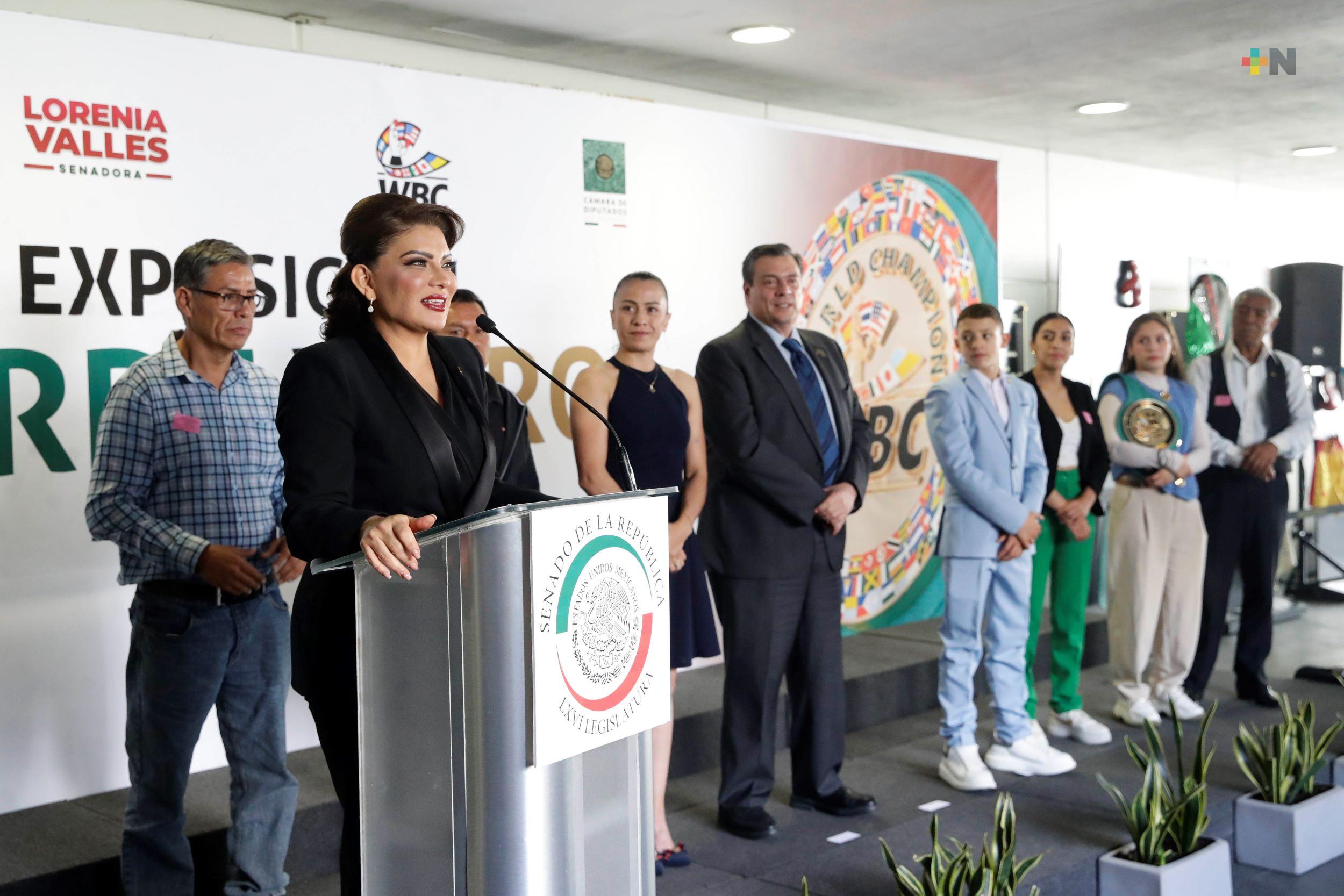 “Martes de Café con el Consejo Mundial de Boxeo” en el Senado de la República