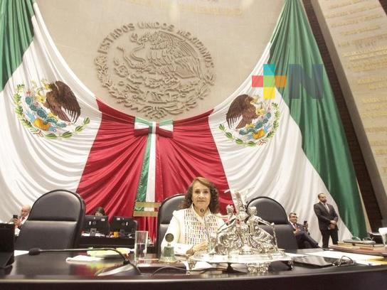 Reforma de protección y cuidado animal brindará mejores condiciones: Dolores Padierna