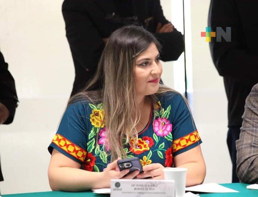 Plantean legisladores que jóvenes mexicanos residentes en el exterior participen en vida pública del país