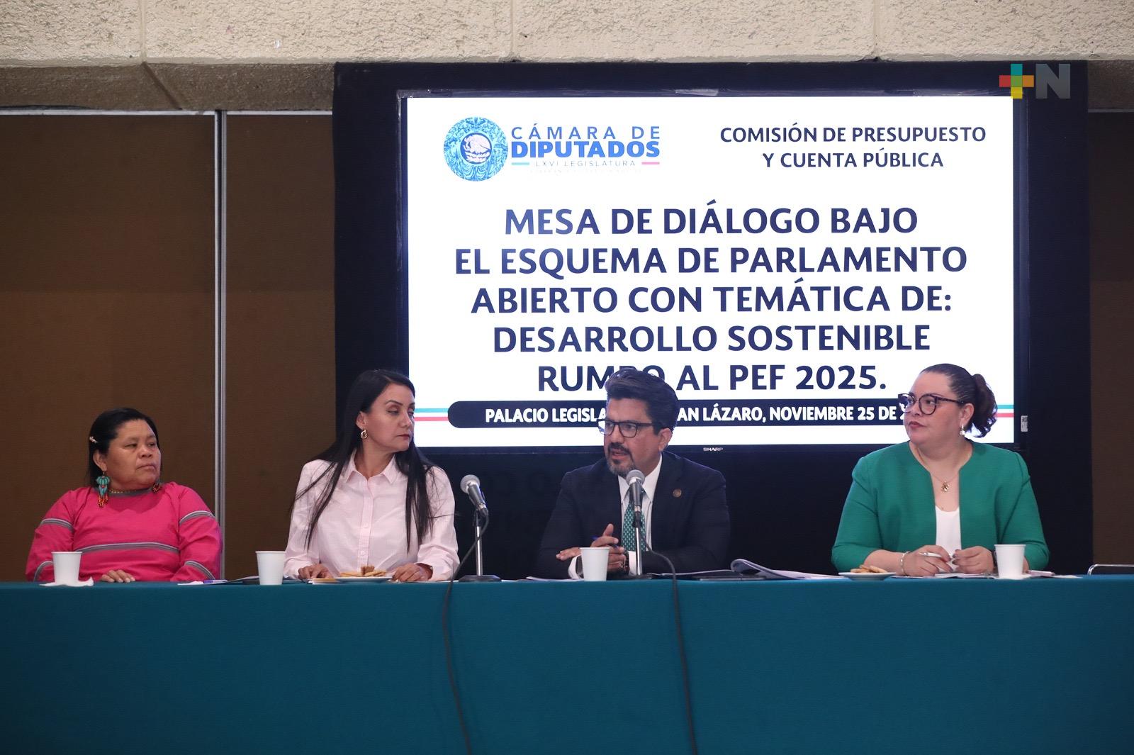 Comisión de Presupuesto analiza el PEF 2025 en perspectiva de desarrollo sostenible