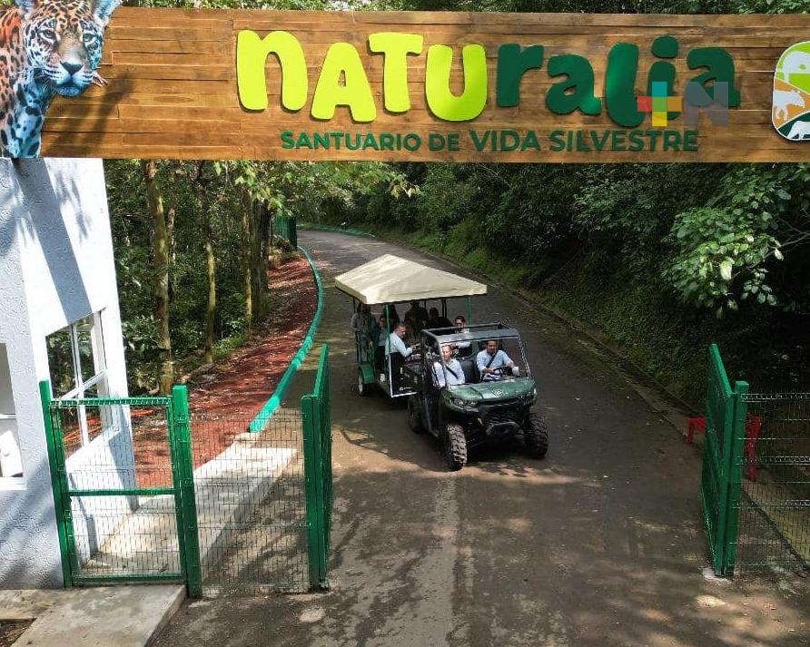 Este 24 de noviembre se inaugura el Santuario de Vida Silvestre «Naturalia»: Gobernador