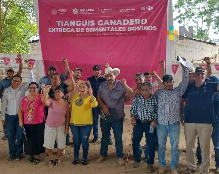 Celebran exitosamente «Tianguis Ganadero» en Las Choapas
