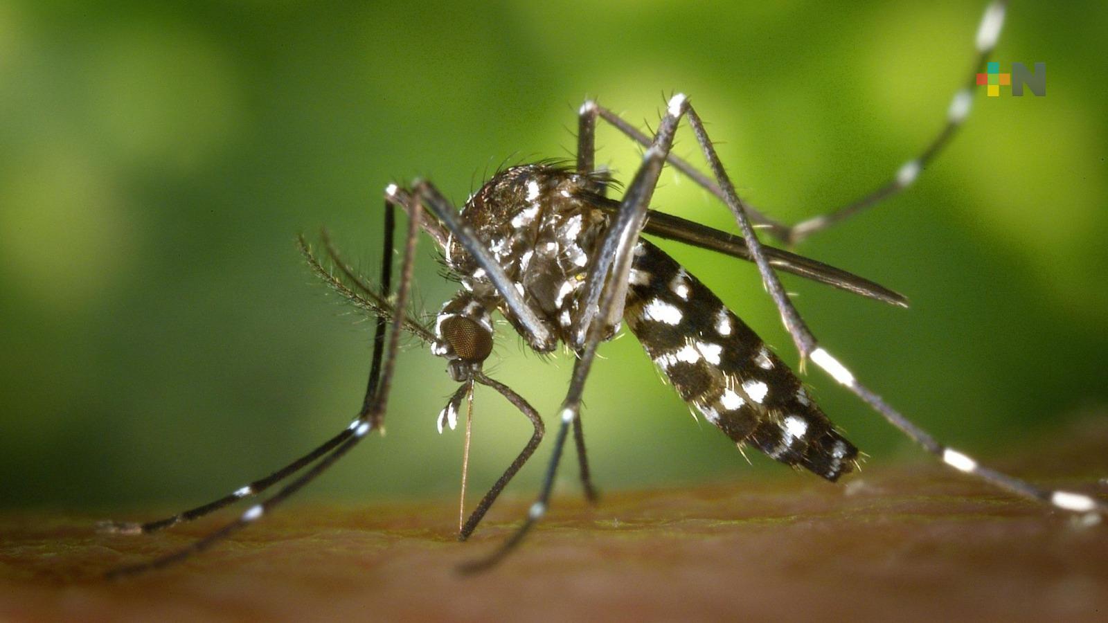 En Coatzacoalcos han atendido a 20 personas con posibles síntomas de dengue
