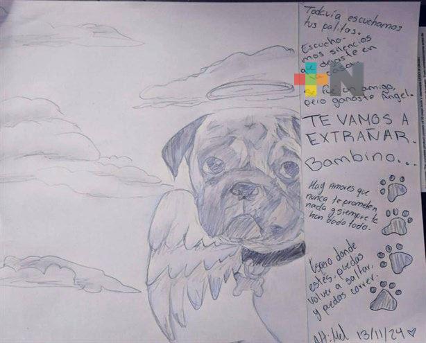 Con carta y dibujo, niña despide a su perro que murió envenenado en Nanchital