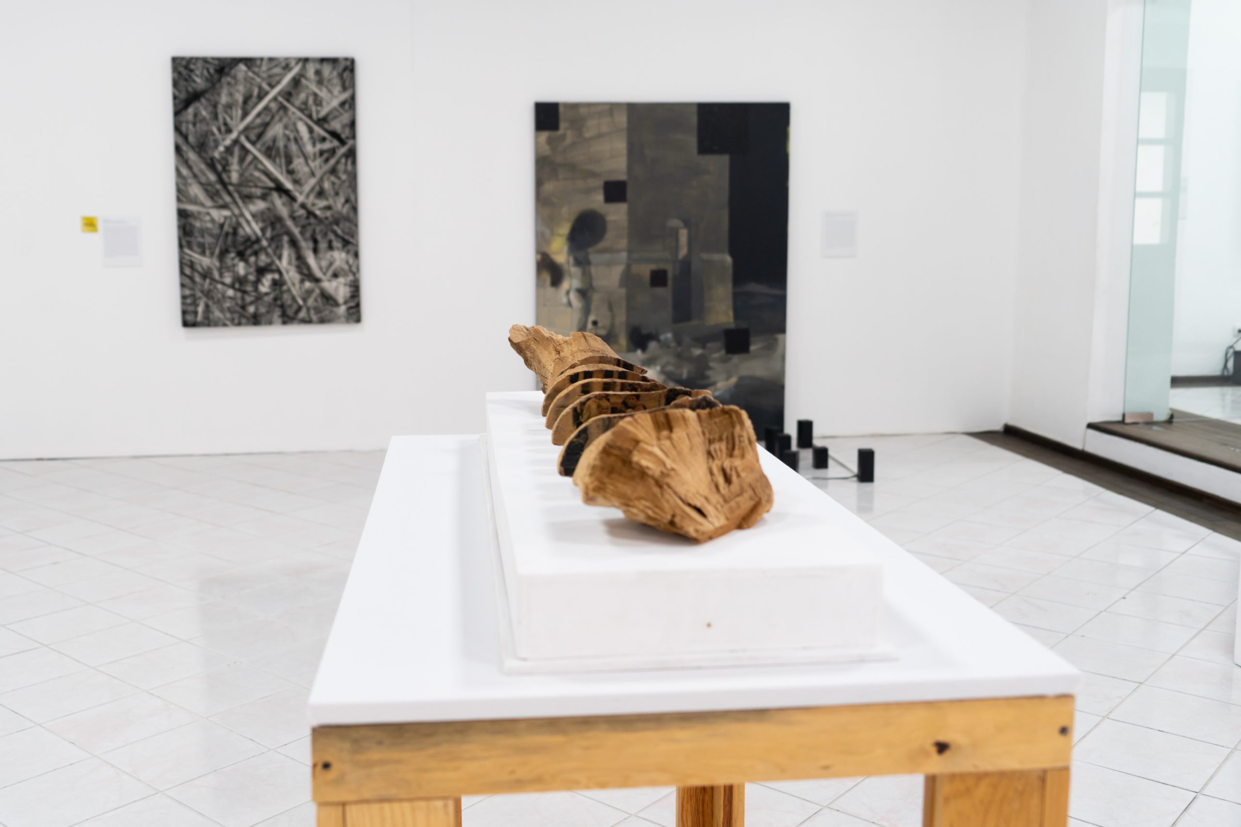 Invita Secver a visitar exposiciones de sus recintos de Xalapa y Coatepec
