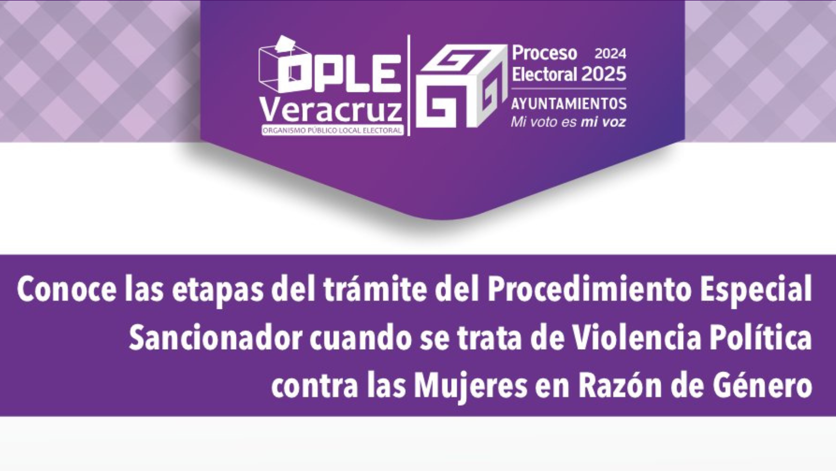 OPLE presentará manual para identificar violencia digital y mediática contra las mujeres