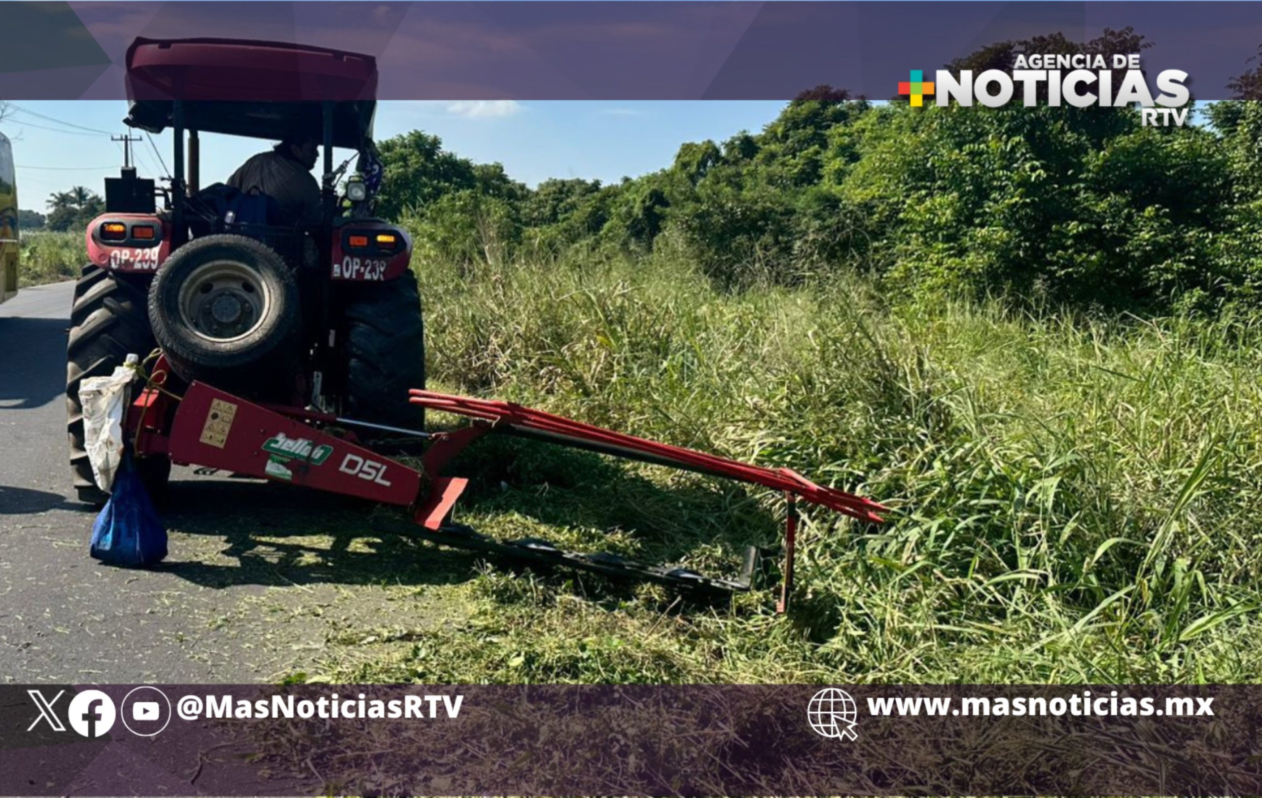 Realizan poda en carretera Coatzacoalcos-Minatitlán