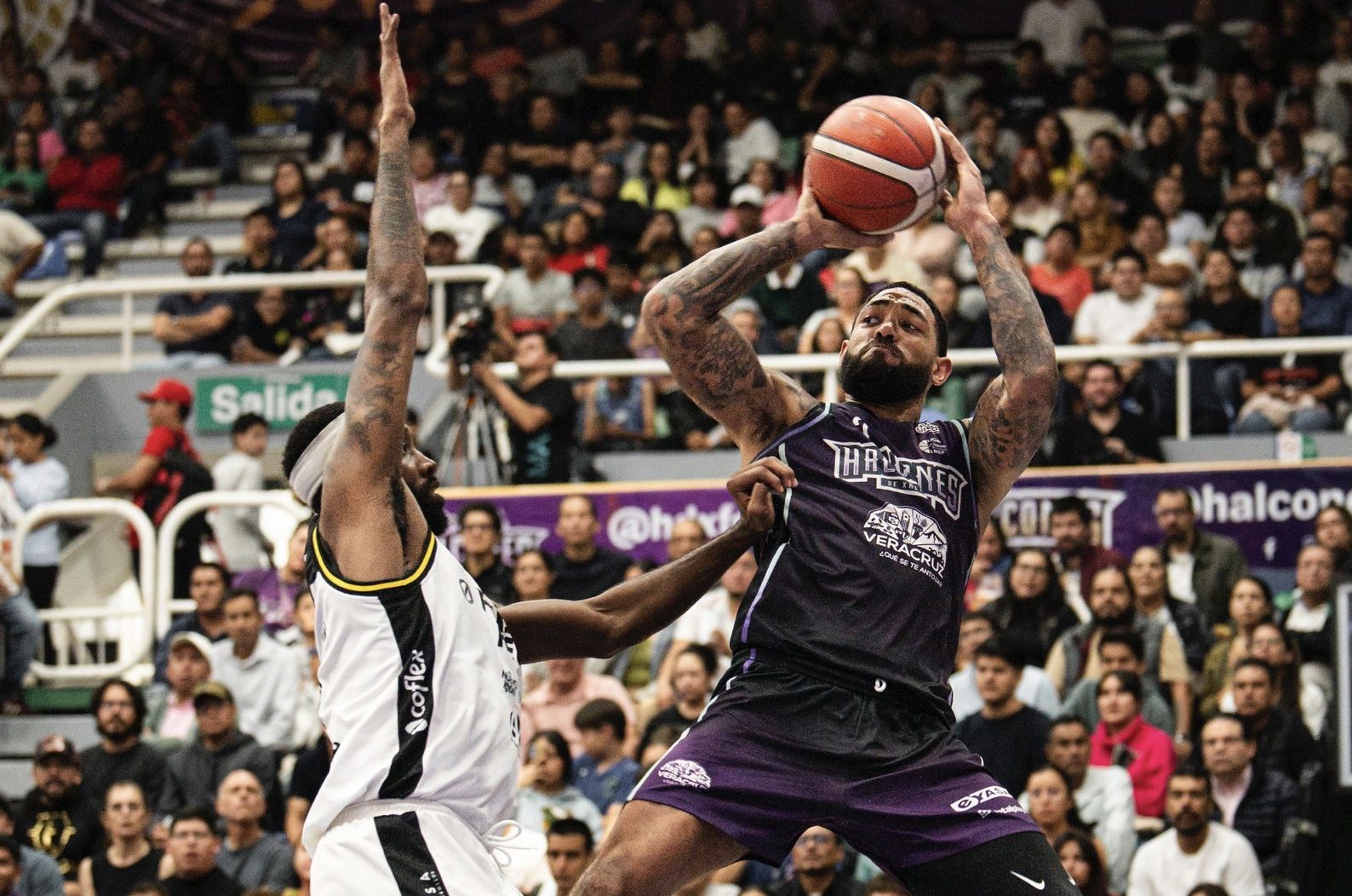 Halcones de Xalapa y Fuerza Regia chocarán en final de zona