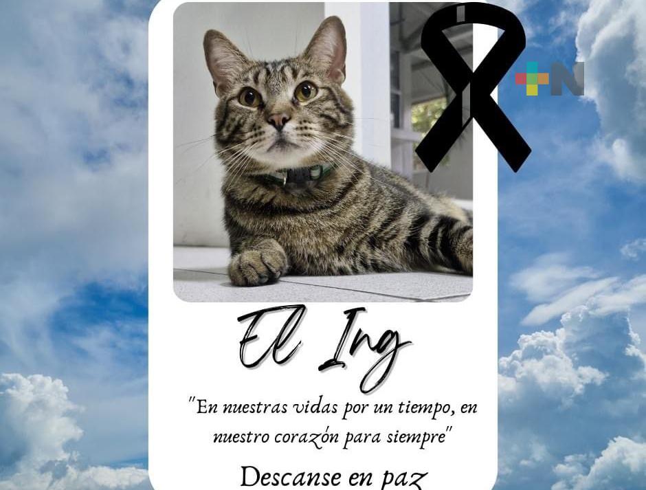 Hemorragia aguda, causa de muerte del «Inge»