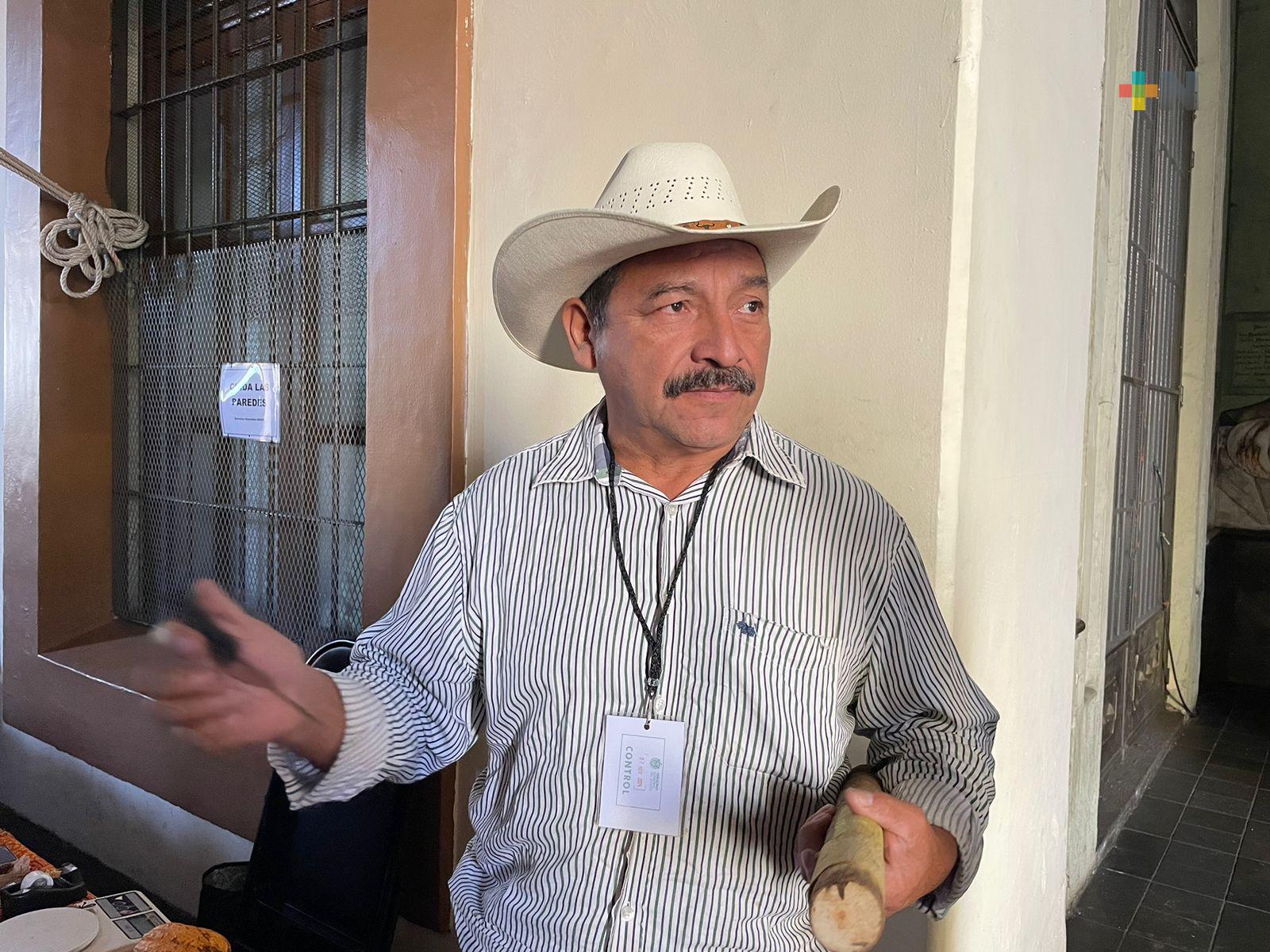 Productores de canela veracruzanos alertan por posibles daños a la salud en el producto chino