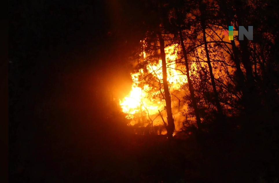 Dos incendios forestales activos en Veracruz: Conafor
