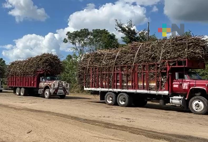 Inicia zafra 2024-2025 en ingenio Tres Valles