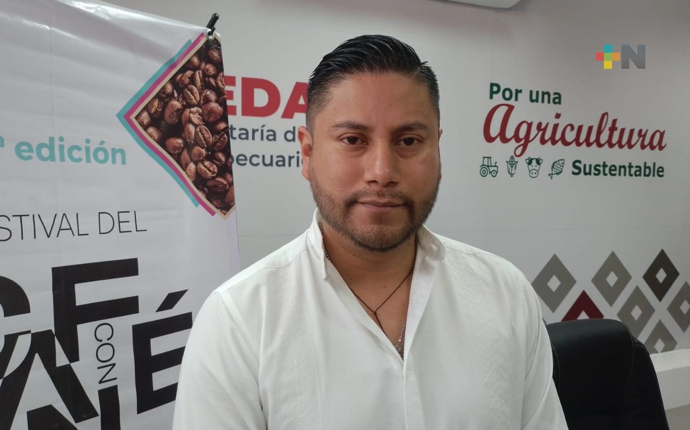 Para evitar robo de grano de café, municipio de Teocelo mantiene credencialización de productores