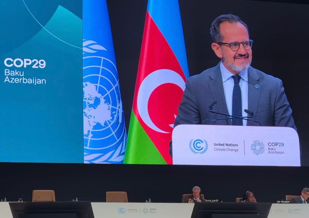 México reitera llamado para destinar 1% del gasto militar a reforestación