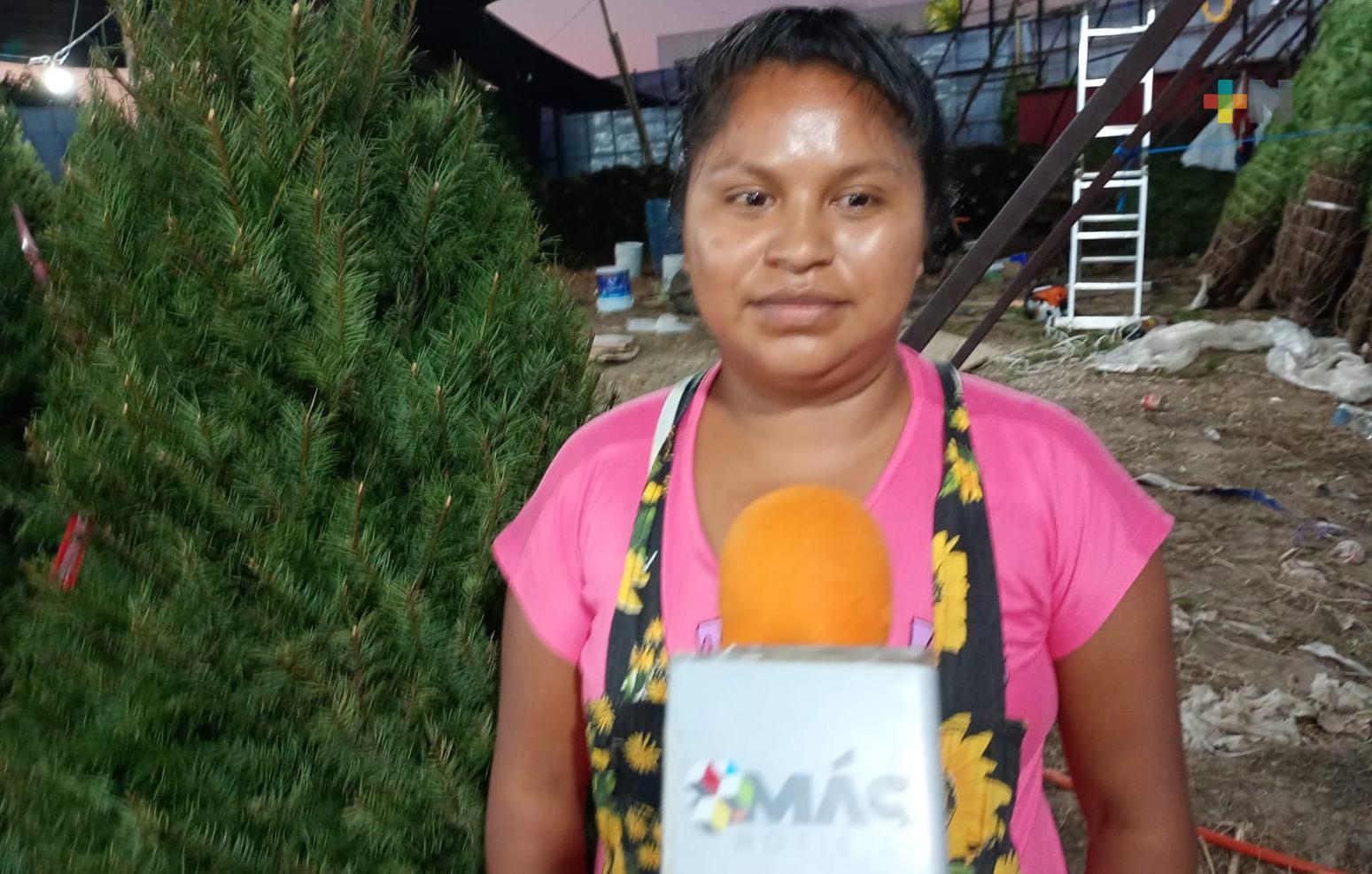 Comerciantes de pinos navideños esperan alcanzar altas ventas