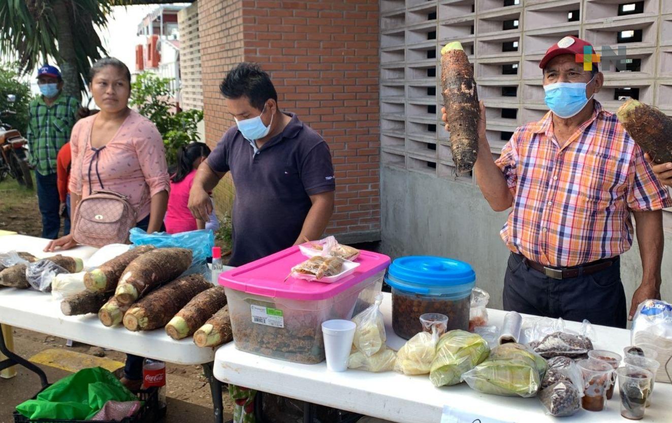 En Villa Allende realizarán la Feria «Sembrando Vida», a finales de noviembre