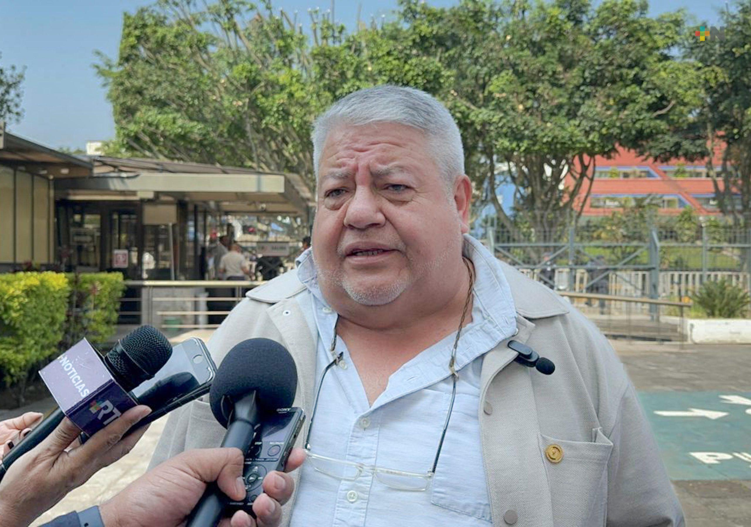 Vamos a ampliar la democracia bajo los principios de Morena: Manuel Huerta