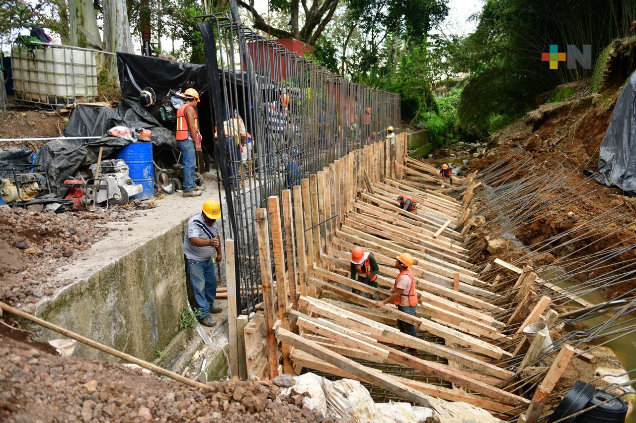Por trabajos de obra pública se limitará tránsito en Paseo de las Palmas