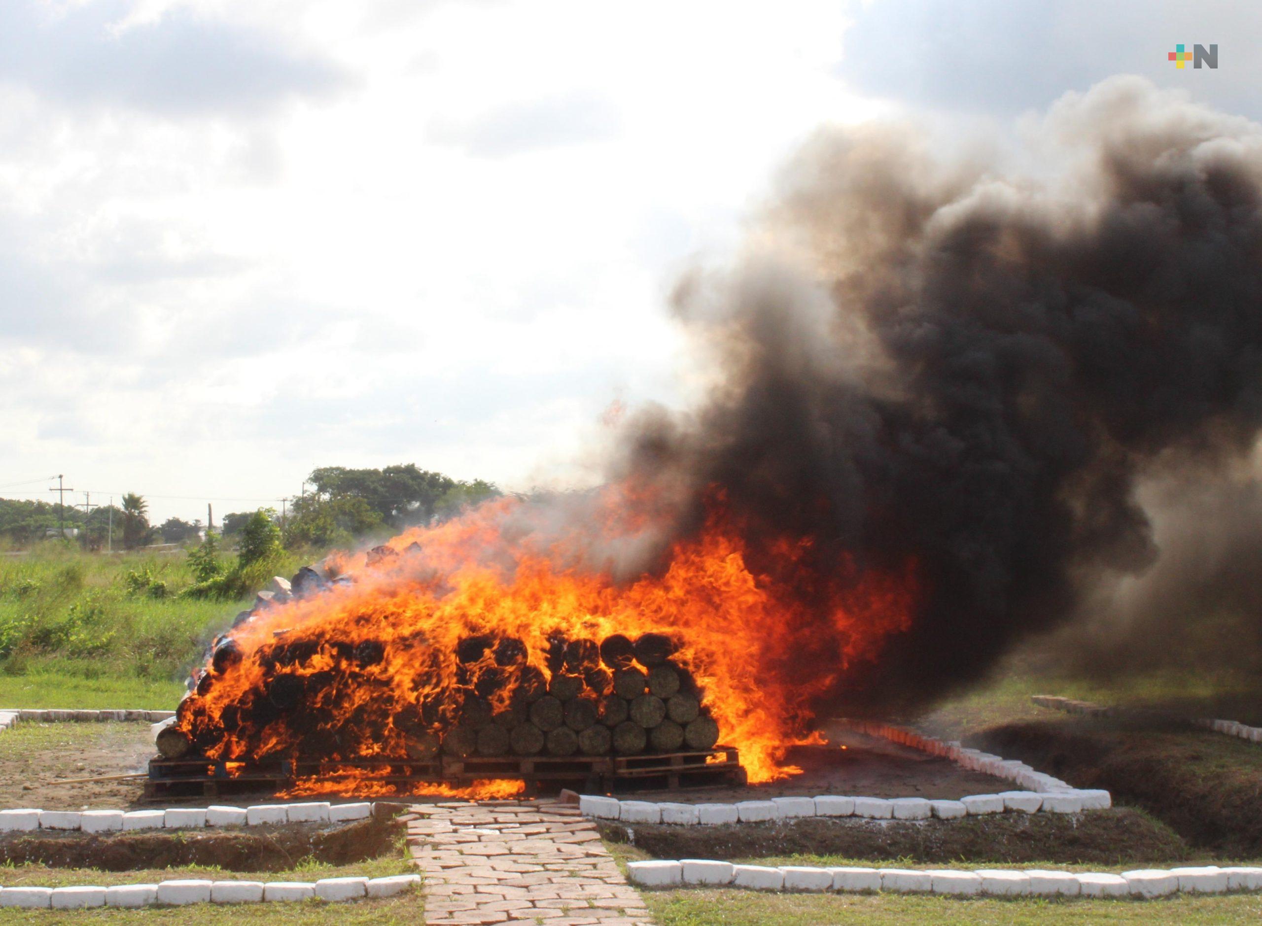 FGR y Semar destruyen cerca de 2 toneladas de diversos narcóticos