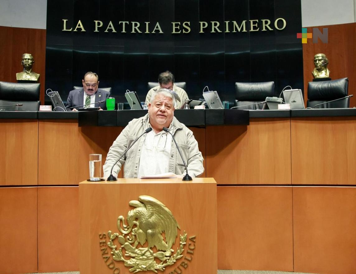 Es indispensable conocer los alcances de la estrategia de seguridad nacional: Manuel Huerta