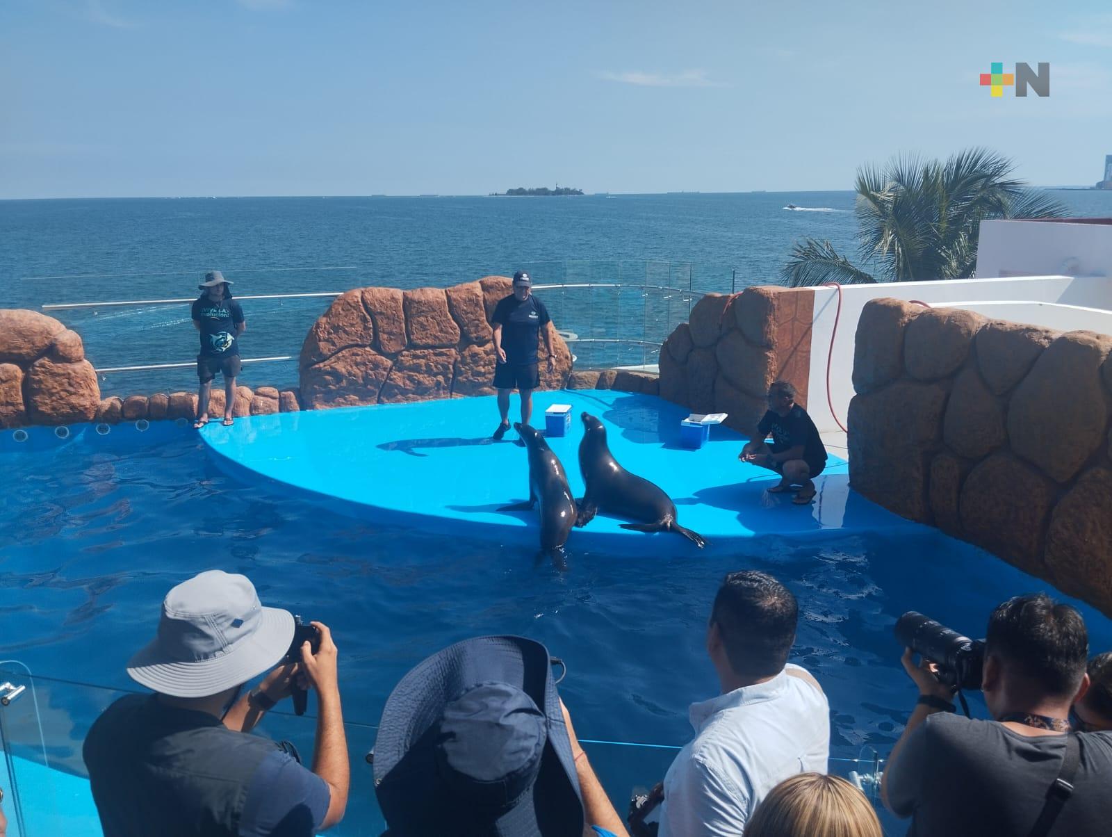 Nuevas atracciones del Aquarium de Veracruz agradan a turistas y visitantes