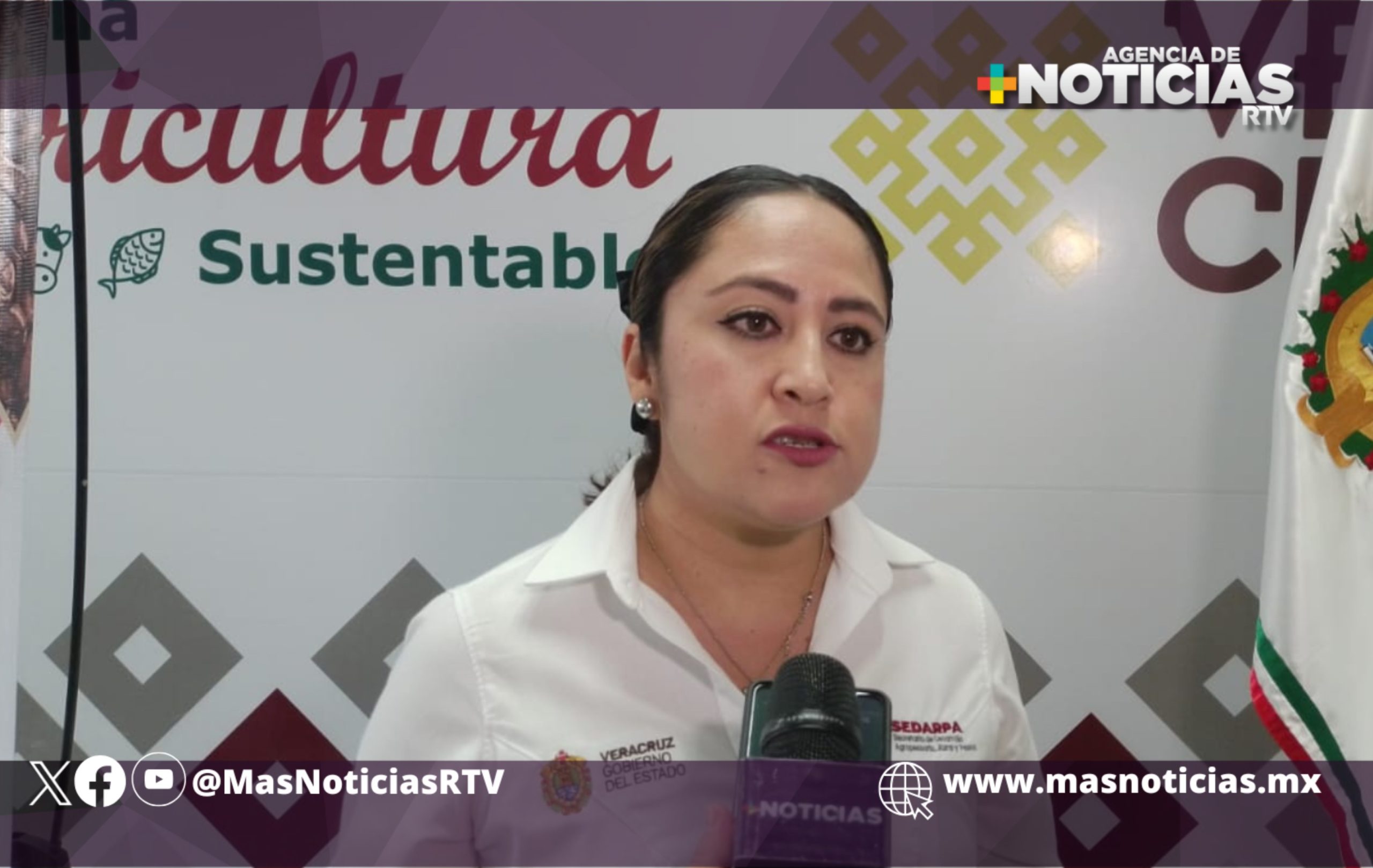 Mercado de Consumo Solidario ha generado millonarias ganancias: Sedarpa