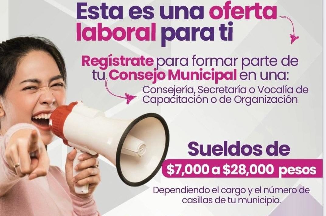 Este martes vence prórroga para aspirantes a consejos municipales: OPLE Veracruz