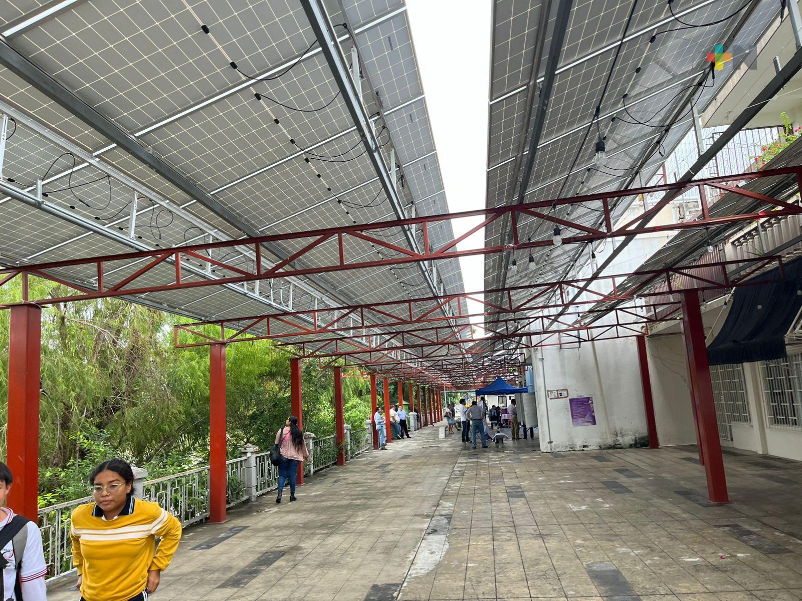 Instalan fotoceldas que transforman luz solar en energía para oficinas públicas de Martínez de la Torre