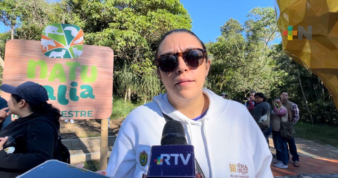 Aún no se registran las temperaturas mínimas en el estado de Veracruz