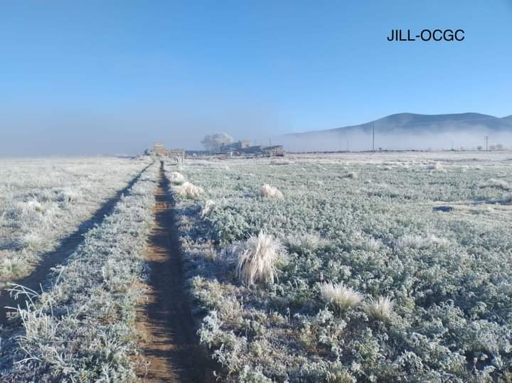 En Perote amanecieron a -5 grados de temperatura este sábado: Conagua