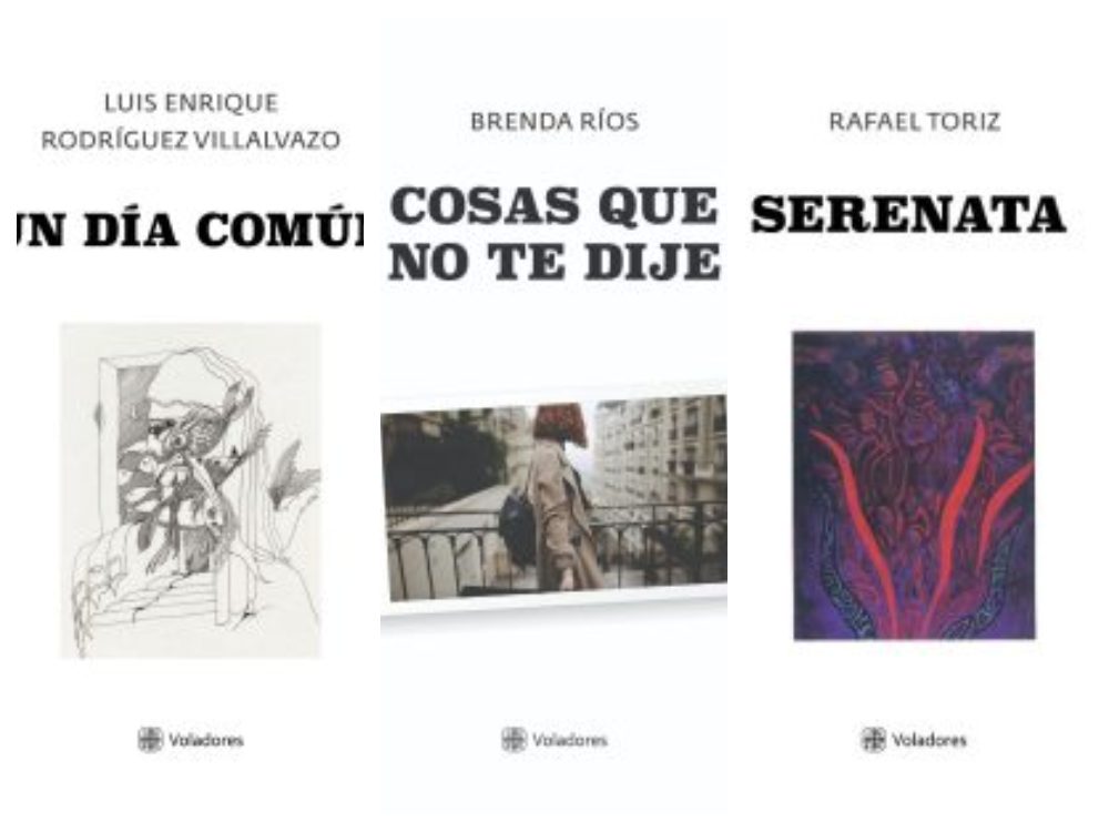 Secver invita a conocer tres nuevos libros en su biblioteca digital