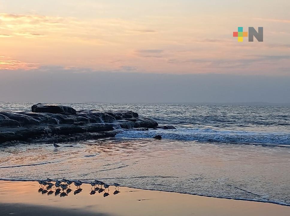 Persiste ambiente fresco a frío con probabilidad de lluvias aisladas en la entidad