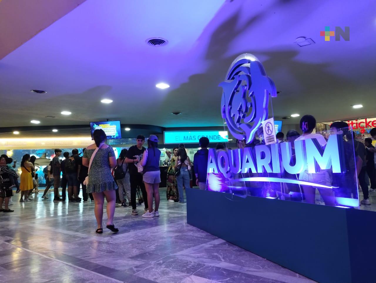 Gran afluencia de turistas visitan el Aquarium del Puerto de Veracruz